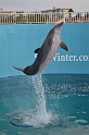 Kids_CMA-Winter (29)